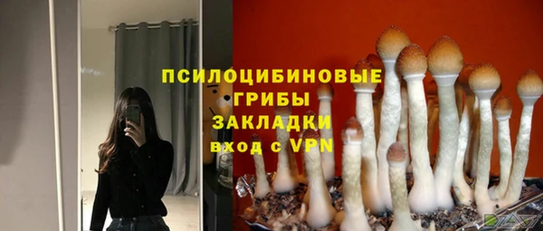 бошки Арсеньев