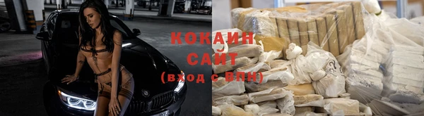 бошки Арсеньев