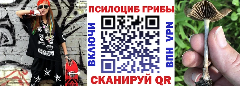 Псилоцибиновые грибы Psilocybe Купить где Динская